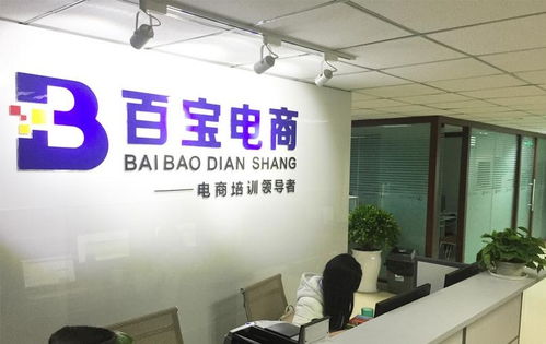 成都百宝教育咨询 专业的教育咨询服务，助您迈向成功之路