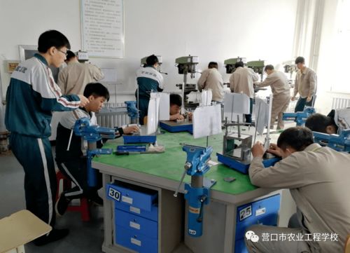 推进职业教育实用高效发展 提升服务地区发展能力